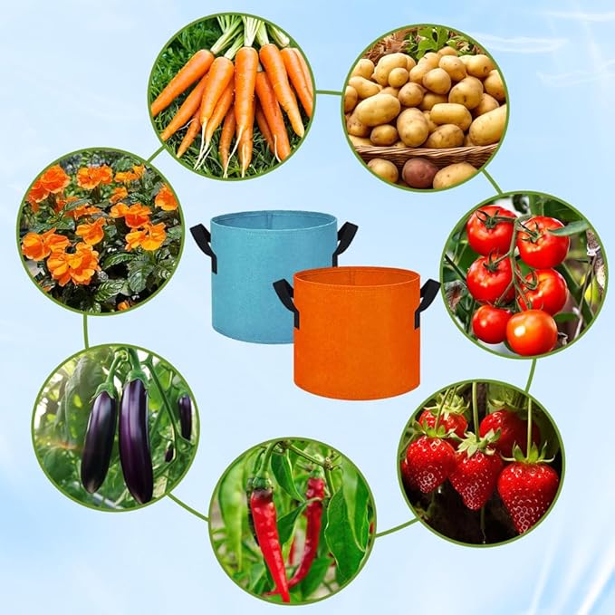5 Gallon Grow Bags 16 Pack Multicolor Fabric Plant Pots with Handles Nonwoven Potato Grow Bags Plant Growing Containers Bag for Garden Fruit Vegetable Flower(Orange+Blue+Yellow+Green)