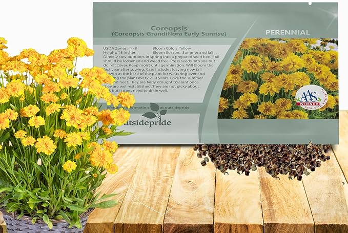 Outsidepride Yellow Early Sunrise Coreopsis Seeds - 250 Seeds Tall, Native, Deer Proof, & Drought Tolerant Perennial Flower Seeds w/Compact Growth Habit & High Adaptability for Soils (AAS Winner)