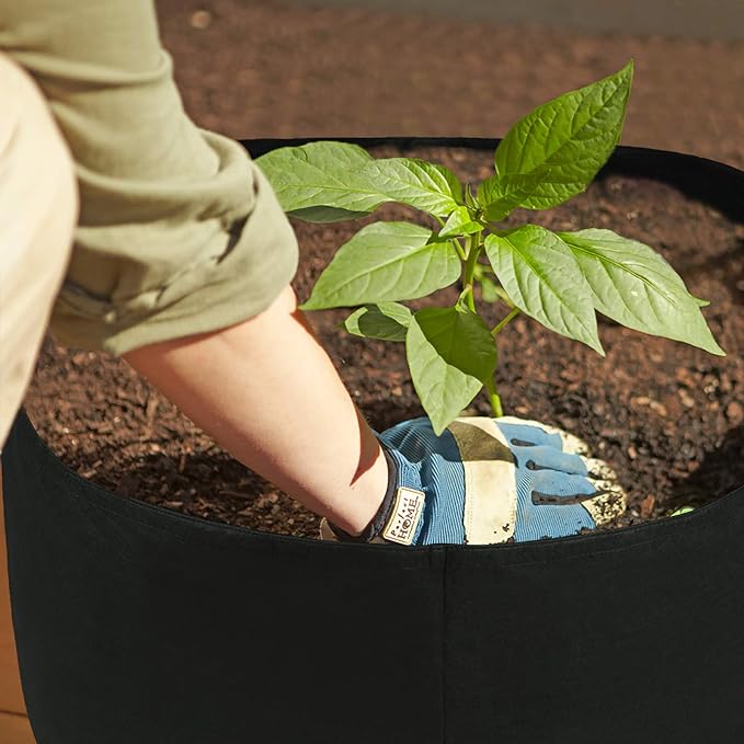 Firlar Fabric Raised Garden Bed, Fabric Raised Planting Bed Grow Bag, Fabric Pots Planting Pots for Herb Plants Flowers Vegetables, Black (35.4x35.4 Inch)