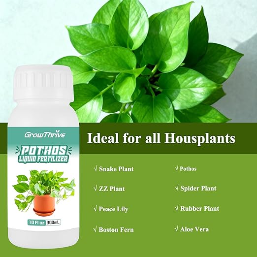 Professional Liquid Pothos Plant Fertilizer, Liquid Plant Food for Houseplants, Snake Plants, Peace Lilies, Flowers, Multi-Purpose Blend & Gardening Supplies 10oz(300ML)