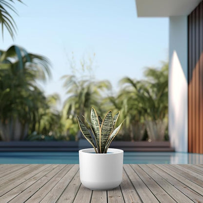 Kante Round Concrete Planter, 11 Inch Dia Classic-Style Large Pot with Drainage, White Finish with Painted Interior, for Indoor & Outdoor Plants, Home, Patio and Garden