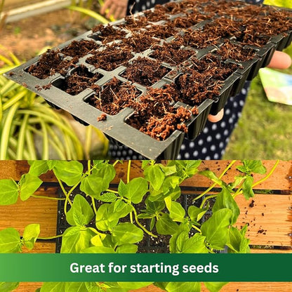 Premium Coco Coir by PlantoCare – Professional Grade Coconut Coir Growing Medium, pH Neutral & Low EC – Ideal for Seed Starters, Potting Mix, Hydroponics & Houseplants [5 Bricks of 650 Grams Each]