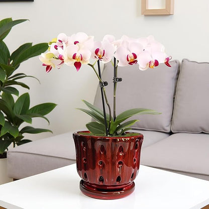 Ceramic Orchid Pot with Attached Saucer and Drainage Hole 6'' Orchid Planter (Red)