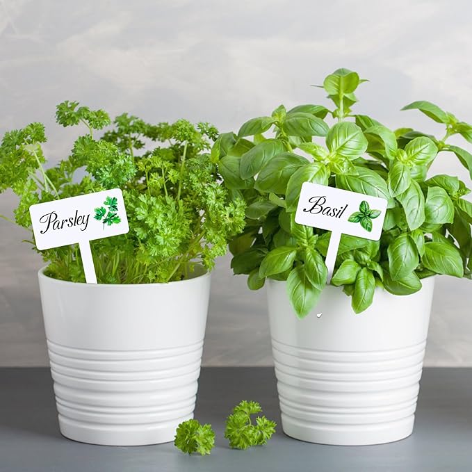 24 Pcs Acrylic Herb Garden Signs Plant Labels Waterproof Reusable Plant Tags with Names for Seedlings Nursery Outdoor Indoor Garden Permanet Labels Markers
