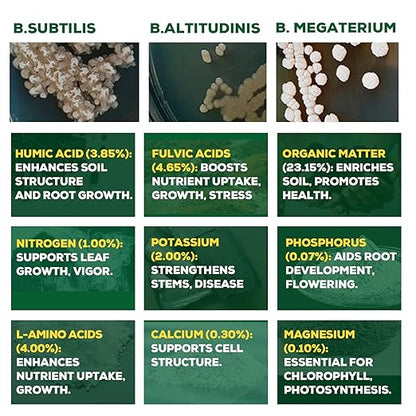 Organic Liquid Plant Food for Indoor Plants & Gardens, Natural NPK Fertilizer w/Beneficial Microbes, Rapid Results, Vegan, Best Value Super Concentrate, Smart Grower, Makes 40 Gallons (8 Fl Oz)
