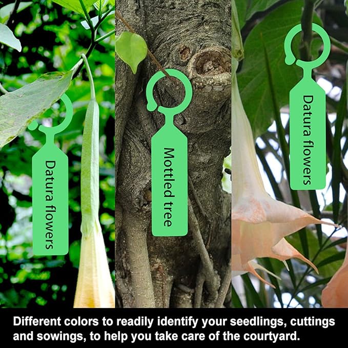 Plastic Plant Labels, 100 Pcs Plant Tags and Labels, Garden Labels Stakes for Hanging Labels for Plant Tree Nursery Seedling Tags Garden Decor(Green)