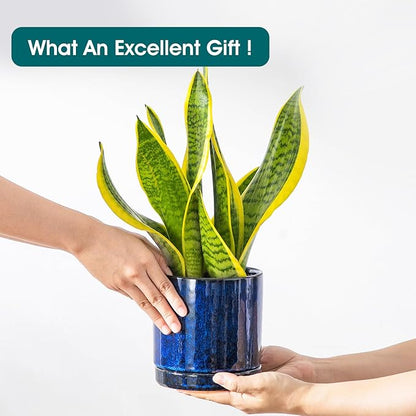 vancasso Ceramic Plant Pots, 3 Piece Planters for Indoor Plants, 4.25+5.25+6.25 Inch Flower Pots with Drainage, Plant Pots Indoor for Succulent, Pothos, Snake Plant and Money Tree, Etc (Blue)