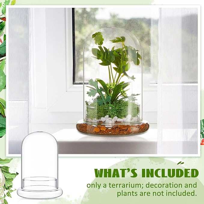 2 Pcs 5.9 x 7.9 Inch Glass Terrarium Clear Terrarium Planter Container Glass Dome Cloche with Airhole and Base for Plant Flower Home Tabletop Display Centerpiece, Plants Not Included