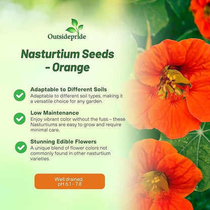 Outsidepride Double Gleam Orange Nasturtium Seeds - 200 Pcs Annual, Easy to Grow & Versatile, Flower Seeds for Planting Vibrant Blooms, Ideal for Gardens, Borders, and Pollinator Gardens