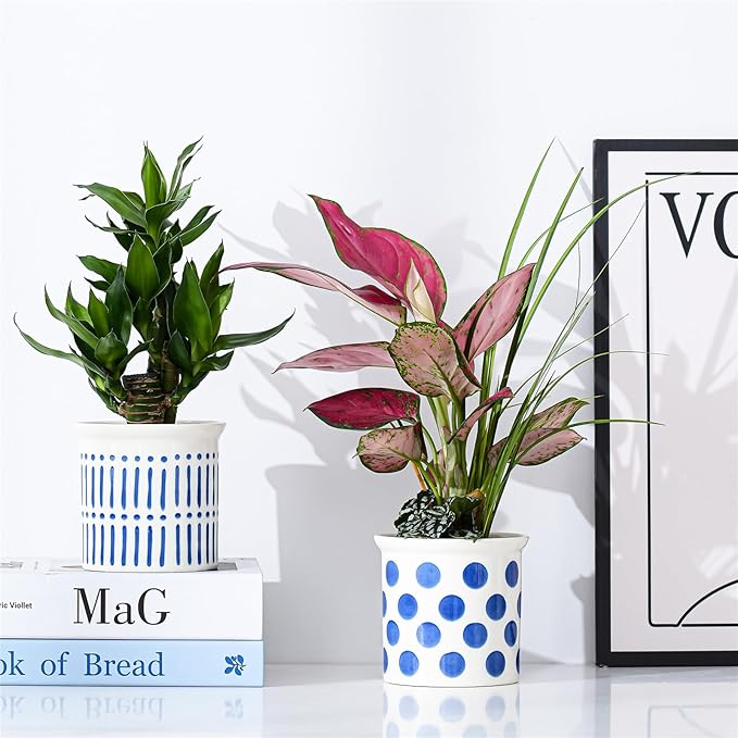 Pots of Indoor Plants 4 Inch Succulents Flower Pots Set of 2 Ceramic Planters Painted Blue Lines and Polka Dots Flower Pots with Drainage Hole for Cactus and Small Houseplants Gifts