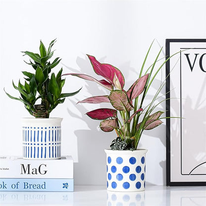 Pots of Indoor Plants 4 Inch Succulents Flower Pots Set of 2 Ceramic Planters Painted Blue Lines and Polka Dots Flower Pots with Drainage Hole for Cactus and Small Houseplants Gifts