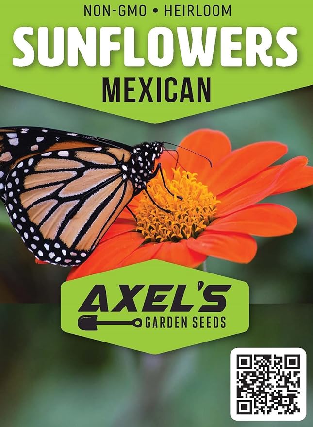 Mexican Sunflower Seeds for Planting – Plant & Grow Heirloom Mexican Sunflowers in Home Outdoor Garden – Planting Instructions for Vibrant Blooms – Great Gardening Gift, 2 Packets