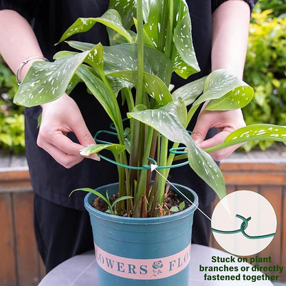 5PCS Monstera Plant Stem Support 7.3*6.25IN Adjustable Holder for Indoor Plants, Durable Metal Structure with Gentle Clips, Perfect for Fishbone Cactus & Climbing Plants, Ideal Gardening Gift