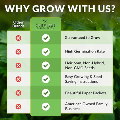 Plantain Seeds for Planting - Common Plantain (Plantago Major) Edible Broadleaf Medicinal Herb for Herbal Garden - Heirloom Non-GMO Open Pollinated - Survival Garden Seeds (2 Pack)