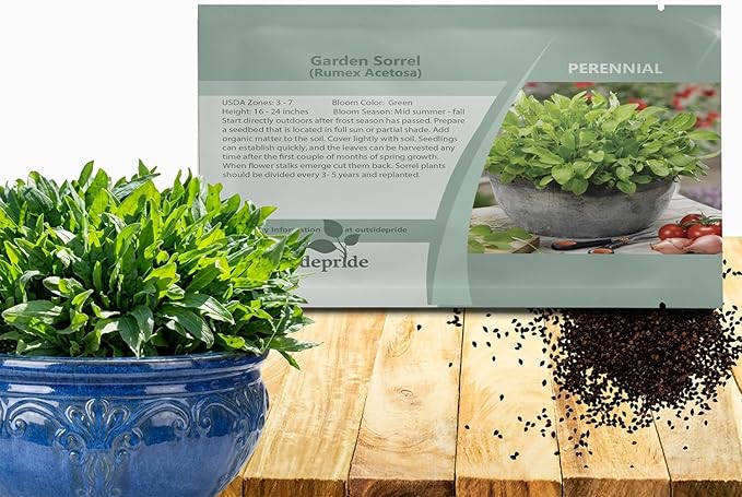 Outsidepride Sorrel Seeds - 5,000 Pcs Perennial, Easy-to-Grow, Drought and Frost Tolerant Herb & Microgreens for Culinary Use, Pollinator Gardens, and Outdoor Landscaping