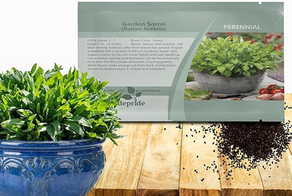 Outsidepride Sorrel Seeds - 5,000 Pcs Perennial, Easy-to-Grow, Drought and Frost Tolerant Herb & Microgreens for Culinary Use, Pollinator Gardens, and Outdoor Landscaping