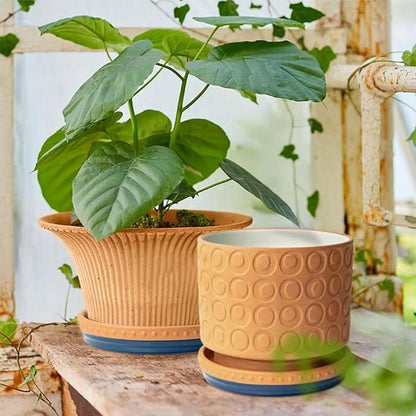 YBX 8-inch Plant Saucer Premium Terracotta Saucer Round Ceramic Plant Trays, Pack of 2 (Navy/Terracotta)