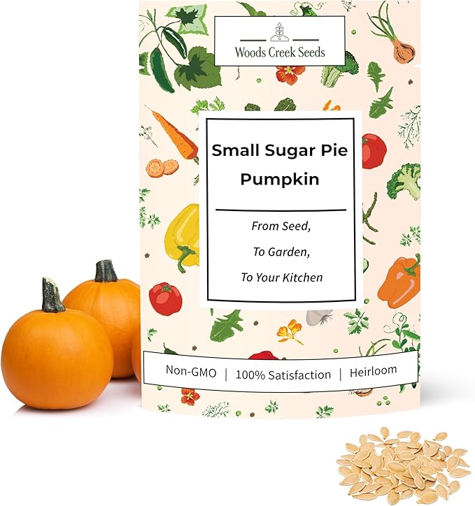Small Sugar Pie Pumpkin Seeds for Planting – Heirloom, Non-GMO Sugar Pumpkin Seeds for Garden Growing, Sweet Pie Pumpkins for Baking & Cooking | Woods Creek Seeds