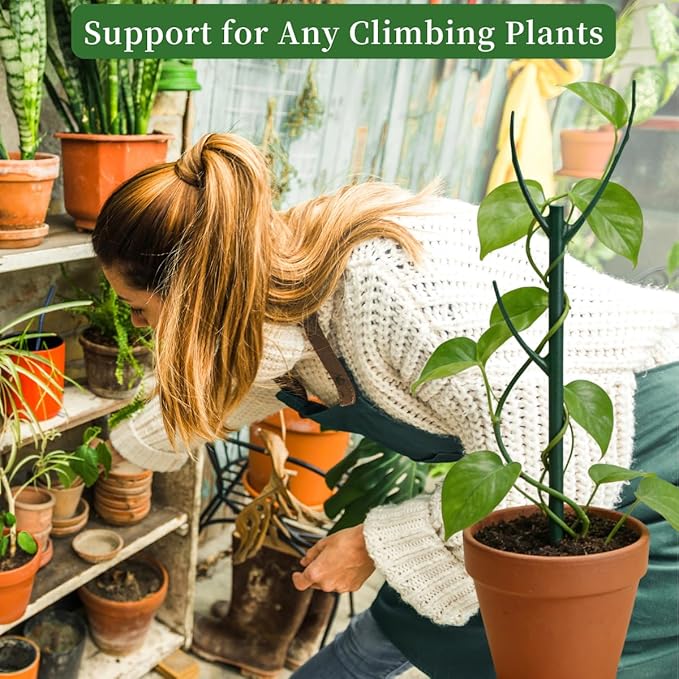 10 Pack Monstera Plant Support, 75inch Stackable Plant Stakes with 20Pcs Clips & 2Pcs Ties, Alternative to Moss Pole Plants Sticks Structures for Climbing Indoor Outdoor Potted Plants