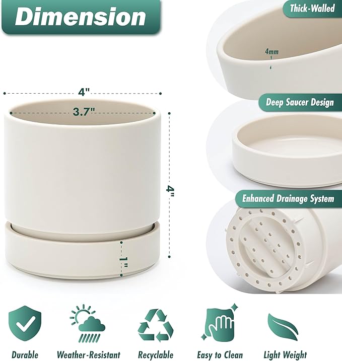 Phoenix Vine 4 Inch Planter Pot with Drainage Hole & Saucer, Deep Water Catch Tray, Straight Cylindrical Round Pot for Plants, Oatmeal, Pack of 6, 23-E-R-6