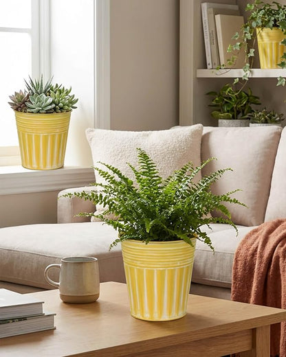 6 Inch Yellow Metal Rustic Flower Pots - 6Pcs Galvanized Planters with Drainage Hole and Rubber Plug, Rustproof Metal Bucket Plant Pots Farmhouse Vintage Style for Decor