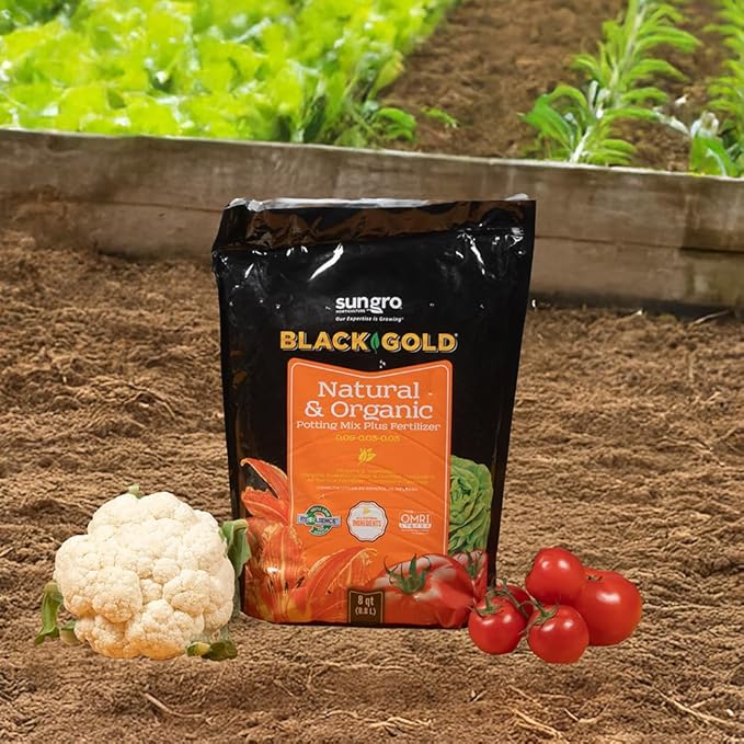 Black Gold Natural & Organic Potting Mix 8qt