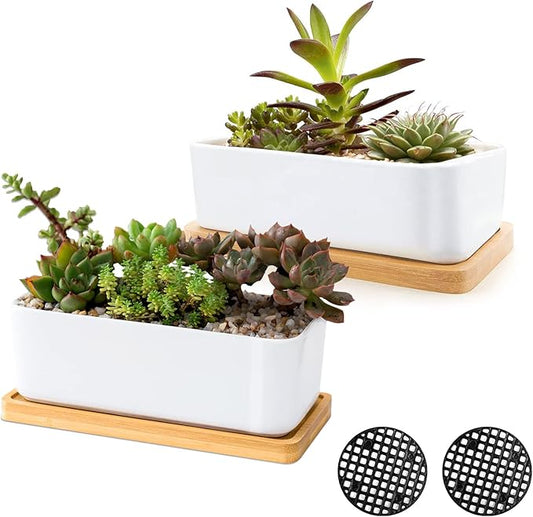White Ceramic Succulent Planters, Indoor and Outdoor Succulent Planters, Set of 2 Small Cactus Containers, Bonsai Pots, Flower Pots with Drainage Hole and Bamboo Bowl (No Plant)