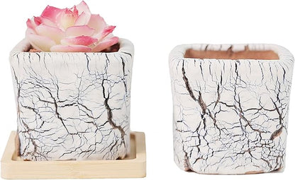 Arktiva Ceramic Planter Pots w/Drainage, 3 Inch Set of 2, Indoor Outdoor Home Patio Garden Plants Flower Succulent, Crackle-Texture Square