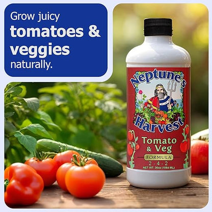 Neptune's Harvest Organic Plant Fertilizer | Liquid Fertilizer for Lawn, Garden & Houseplant | Rich in Essential Nutrients | Hydrolyzed Fish 2-4-1 (Quart) + Tomato & Veg Plant Food 2-4-2 (Quart)