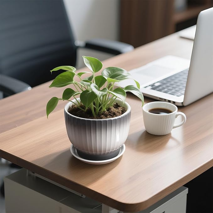 6.7 + 5.5 Inch Ceramic Plant Pots,Planters with Drainage and Saucer,Indoor Pots for Plants,Modern Flower Pots for Home and Office（Gray + White）