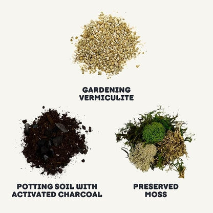Cute Farms Terrarium Starter Kit | Moss, Vermiculite, Soil, Pebbles, Plant Food, Finishing Tools, Build and Care Guide | DIY Succulent Terrarium (Small)