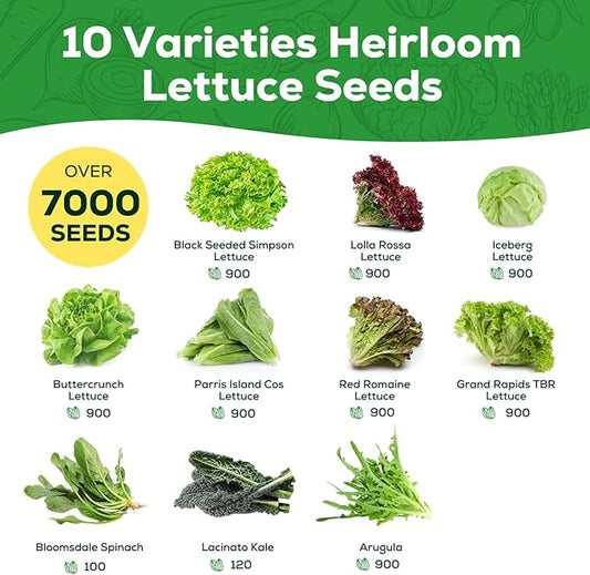 Heirloom Lettuce Seeds - 10 Varieties, Non-GMO Seeds for Planting - Includes Spinach, Kale, Arugula, Romaine, Iceberg, Buttercrunch & More, Home Garden & Hydroponic Seeds