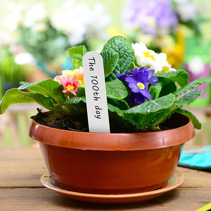 200Pcs Plastic Plant Labels Wrap Around Tree Tags, Adjustable Hanging Plant Tags, Nursery Garden Labels Name for DIY, Identification Stakes