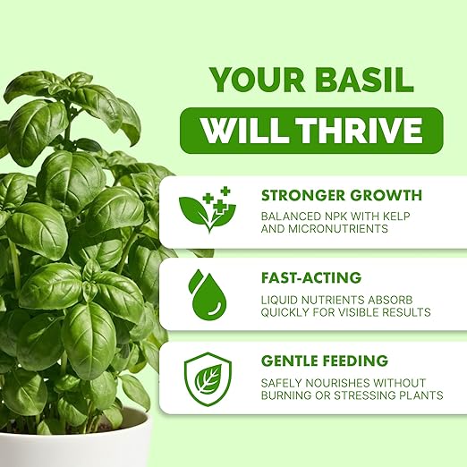 Basil Fertilizer for Basil Plant, Great for Mint, Rosemary, and Thyme, Liquid Fertilizer by TPS Plant Foods, 8 oz (250mL)
