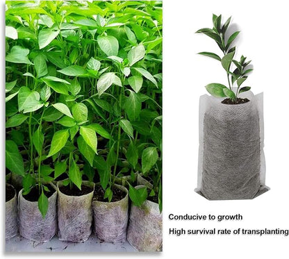Augshy Nursery Growing Bags, 400pcs Fabric Plant Bags, Non-Woven Plants Grow Bags, Seeding Starter Bag Seedling Plants Pots Home Garden Outdoor Greenhouse Supplies