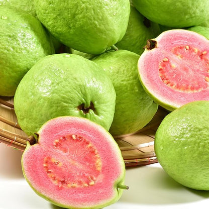 Dwarf Guava Seeds for Planting Outdoor, 15pcs Guava Tree Fruits Seeds Non-GMO Heirloom Sweet Edible Fruit, Sweet Juicy Fruits Plants in Your Home Garden