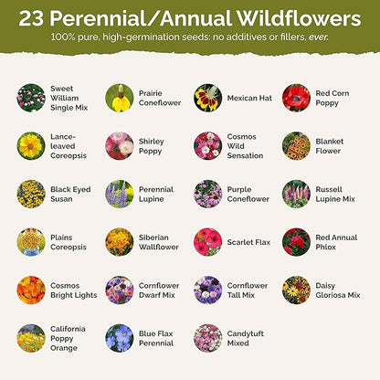 Eden Brothers Midwest Wildflower Mixed Seeds for Planting, 10 lb, 4,800,000+ Seeds with Cornflower, Candytuft, Mexican Hat, Attracts Pollinators, Plant in Spring or Fall, Zones 3, 4, 5, 6, 7, 8, 9, 10