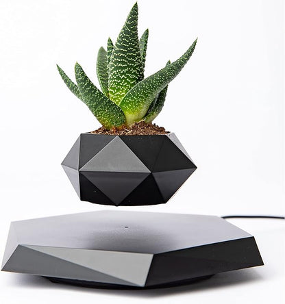 BandDlevs Floating Pots for Plants - Levitating Pot - Levitating Planter for Bonsai, Succulents, Air Plants - Floating Magnetic Display for Home Office Desks - Magnetic Levitation Plant Holder (Black)