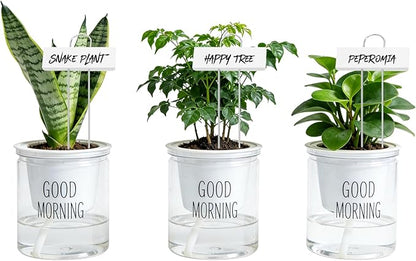 Foraineam 30 Pack Metal Plant Labels Plant Tags Weatherproof Planting Seedling Stake Signs Nursery Tags Large Iron Garden Markers