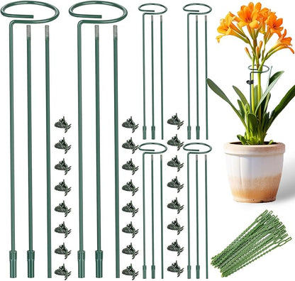 6 Pack (DIY) Plant Support Stakes, Three Sizes (12 or 24 or 36 inch) Plant Support Rings for Outdoor or Indoor, Garden Plant Stakes for Flowers Vegetable Roses Daffodils Tomatoes