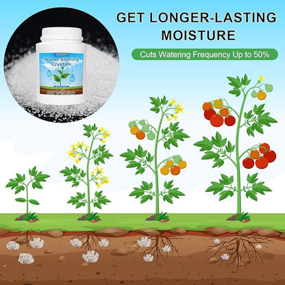 XSEINO 1.5LB Soil Moisture Crystals Water-Absorbing Hydrogel for Plants Solves Over and Under-Watering, Long-Lasting Water Retention to Keep Soil Moist Polymer Water Storage Crystals