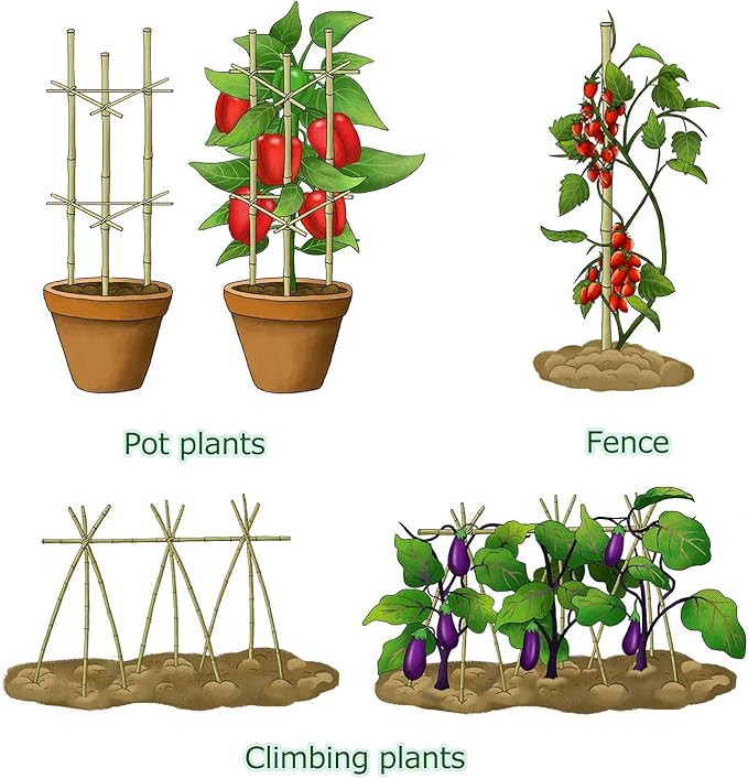 Bamboo Garden Stakes 3 Feet Plant Stakes for Roma Tomatoes Sunflowers Beans Potted and Climbing Plants - Pack of 25 Bamboo Sticks