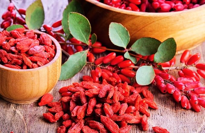 TomorrowSeeds - Goji Berry Tree Seeds - 600+ Count - for 2026 Planting Lycium Chinense Superfood Wolfberry Asian Wellness Red Flowering Edible Perennial Fruit Trees Perennial Grow Your Own Home Farm