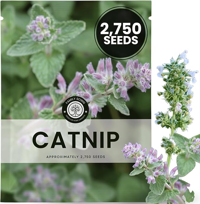 Catnip – 2,750 Premium Seeds for Planting – Fragrant Herb for Pets & Pollinators – 2026 Season – 2 Gram Pouch
