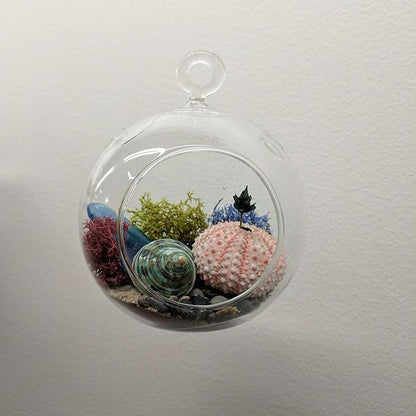 WGV Hanging Terrarium Globe, Width 8", Height 9", DIY Air Succulent Planter, Clear Glass Vase Orb with Flat Bottom, Candle Holder for Windowsill Outdoor Garden Decor, 6 Pieces Bulk