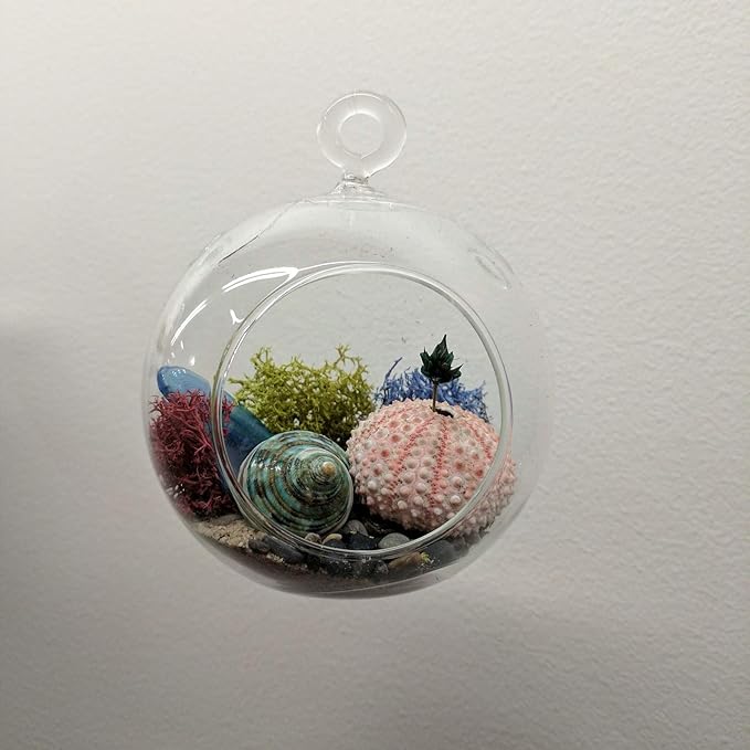 WGV Hanging Terrarium Globe, Width 8", Height 9", DIY Air Succulent Planter, Clear Glass Vase Orb with Flat Bottom, Candle Holder for Windowsill Outdoor Garden Decor, 1 Piece