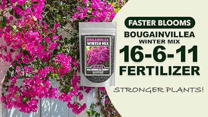 Fertilizer Commercial Grade | Bougainvillea Winter Mix 16-6-11 | 5 Ounces | Custom Professional Mix | Cold-Season Bloom Formula | Controlled Release Nutrition | Micronutrients | Vivid Color & Growth