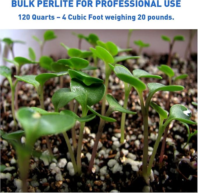 Organic Perlite Planting Soil Additive, White, 4-Cubic Feet