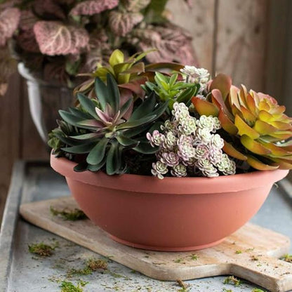 The HC Companies Shallow Planter with Drainage - Contemporary Garden Bowl Planter for Flowers, Herbs & More - Round Succulent Planter Pot for Indoors and Outdoors (20" Clay, Pack of 1)