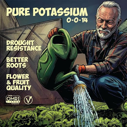 Kelp it Real Organic Seaweed Fertilizer for Plants - Makes 400 gallons - OMRI Listed - Vegan Certified - for Indoor Gardeners, Houseplants, Fruits, Vegetables, Hydroponics (1lb)